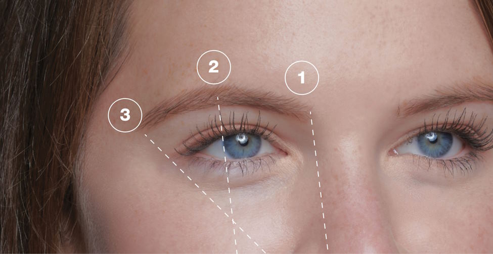 deciding on the right eyebrow shape